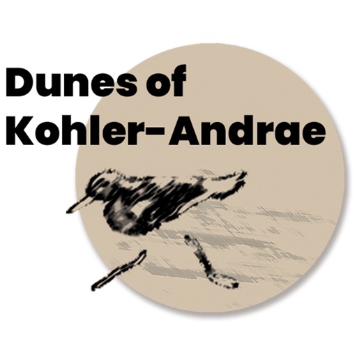 Dunes of Kohler-Andrae Dunes of Kohler-Andrae