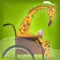 Geriatric Giraffe
