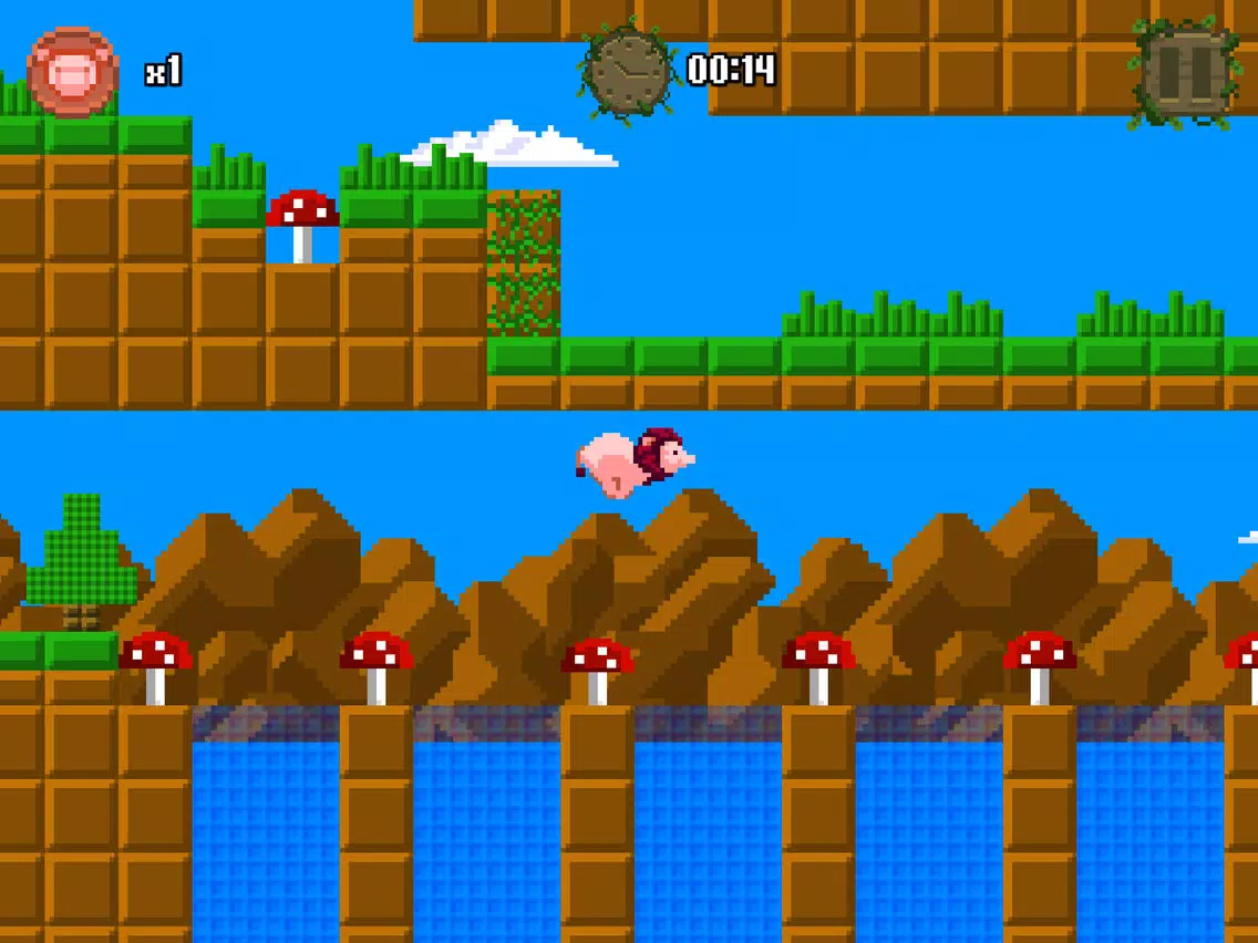 Lion Pig iPad Screenshots