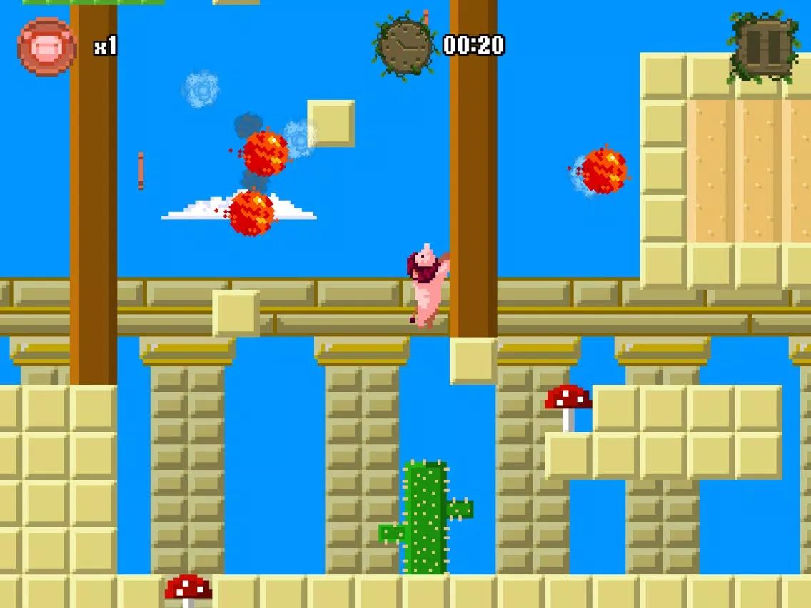 Lion Pig iPad Screenshots