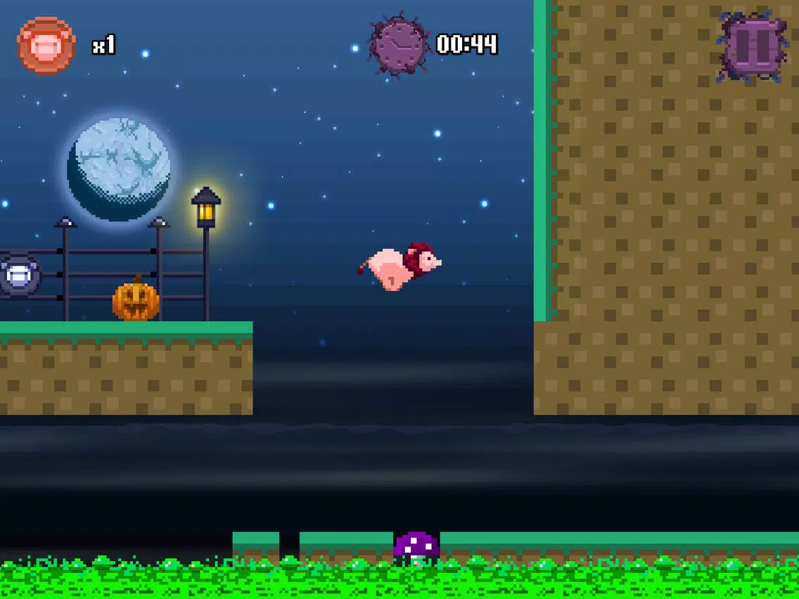 Lion Pig iPad Screenshots
