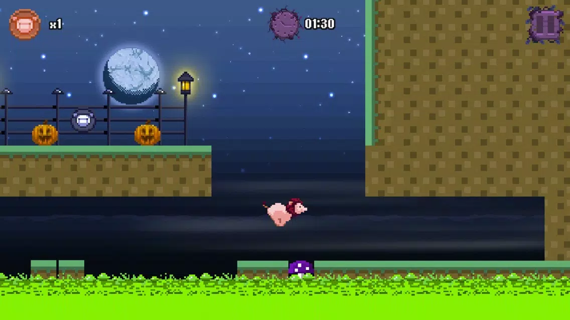 Lion Pig Screenshots