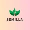 Semilla: Local Market to Table