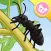 Ant - InsectWorld A story book about insects for children