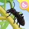 Ant - InsectWorld A story book about insects for children