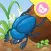 Dung beetle - InsectWorld A story book about insects for children