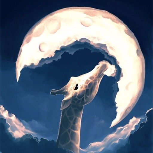 夜曲 夜曲