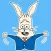 Cute Rabbit Stickers & emoji