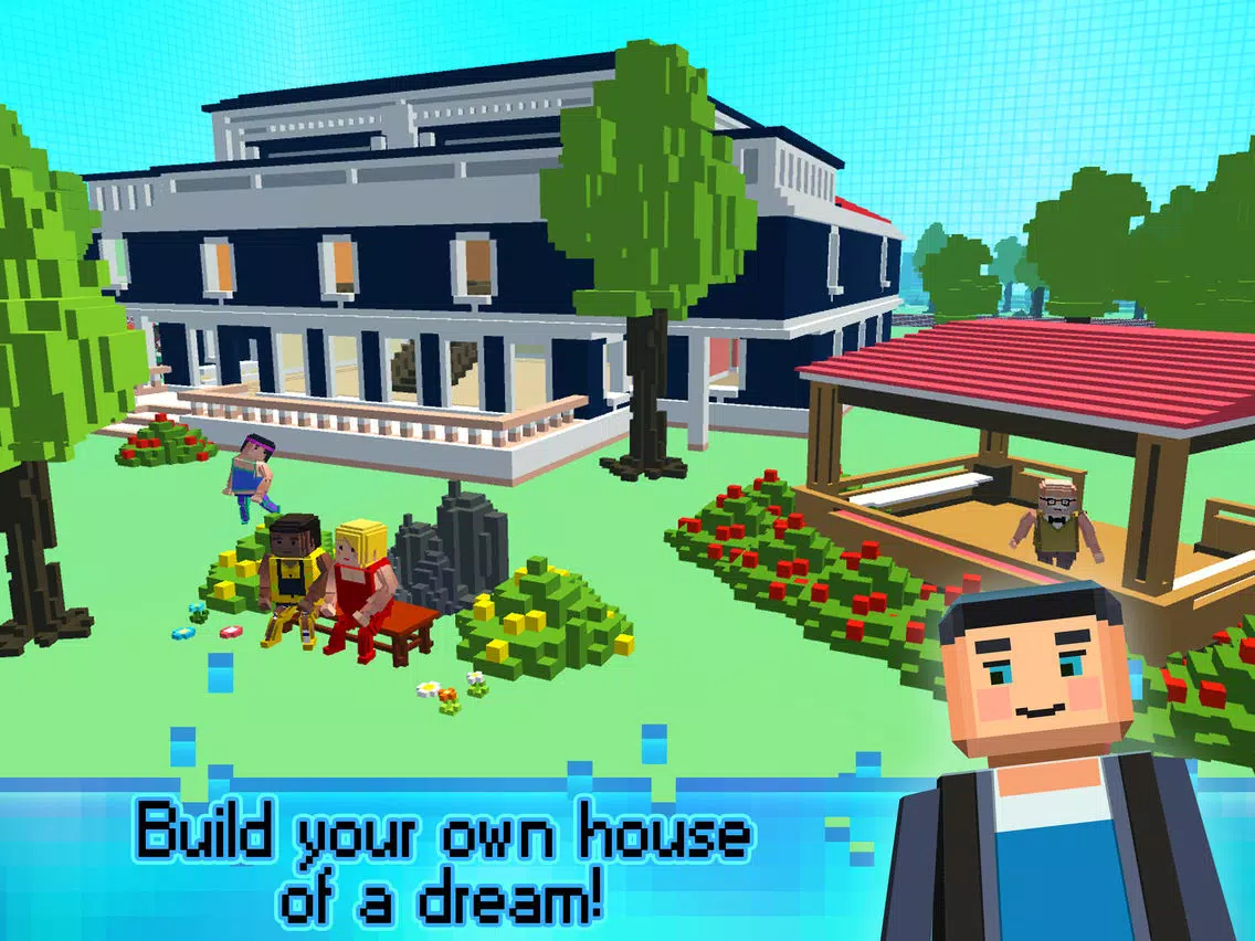 Sim Block House Craft n Design iPad 應用截圖