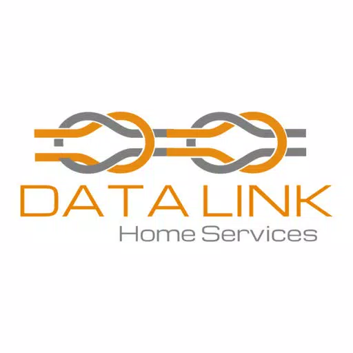 Data Link Home Services LLC Data Link Home Services LLC