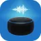Smart Alexa voice Commands