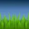 Nature Sounds for Sleep and Relaxation - Evening Ambience