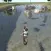 Canoe Dodge