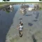 Canoe Dodge