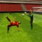 Soccer 3D Game 2015