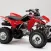 Quad Race