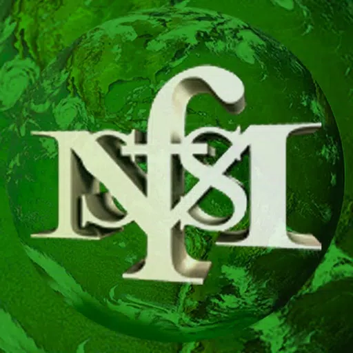 msfs msfs