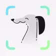 Pawnomenal - World of Dogs