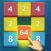 X2 Block Puzzle