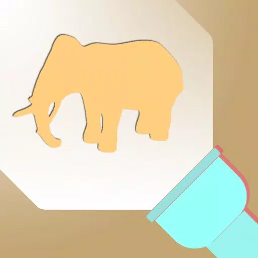 Shadow Puzzle 3D