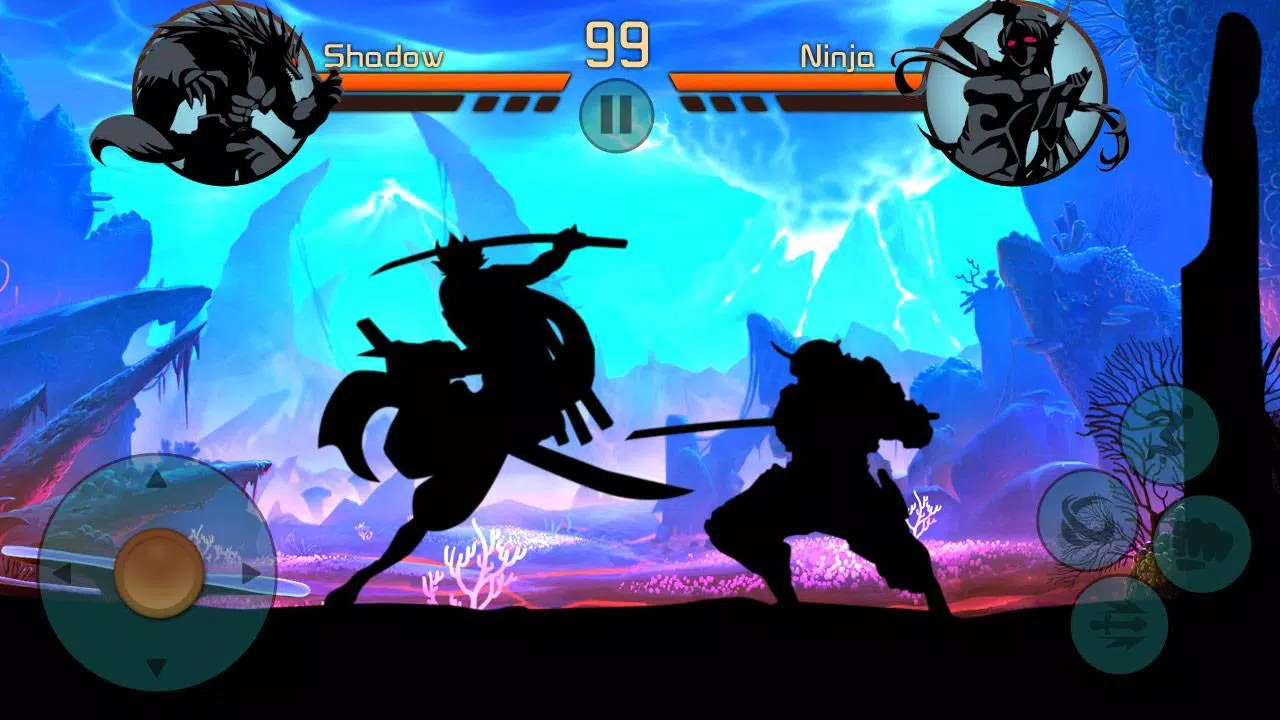 Shadow Battle Fight for Fight Screenshots