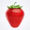 Fruit Link 2.0