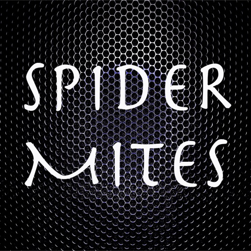 SPIDER MITES SPIDER MITES