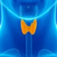 TIRADS, ATA & BTA for Thyroid
