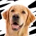 Linkin Bark - Dog Stickers