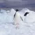 Mission Antarctica
