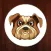 Dog Teaser Sound Box