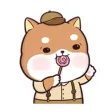 Shiba Inu Puppy