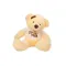 Lovely Teddy