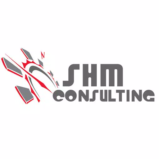 SHM Consulting