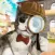 Kitty Cat Detective Pet Sim