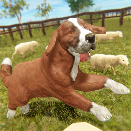 Silly Sheep Run- Farm Dog Game Silly Sheep Run- Farm Dog Game