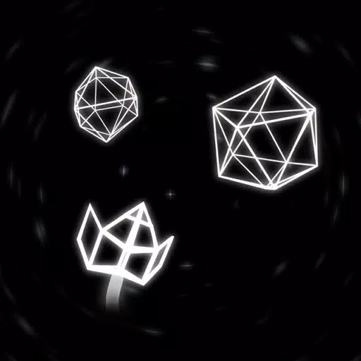 Quantum Vortex