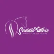 Saddle Genie Saddle Genie