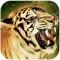 Roar - Song & Video