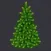 ShowTree for C6