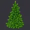 ShowTree for C6
