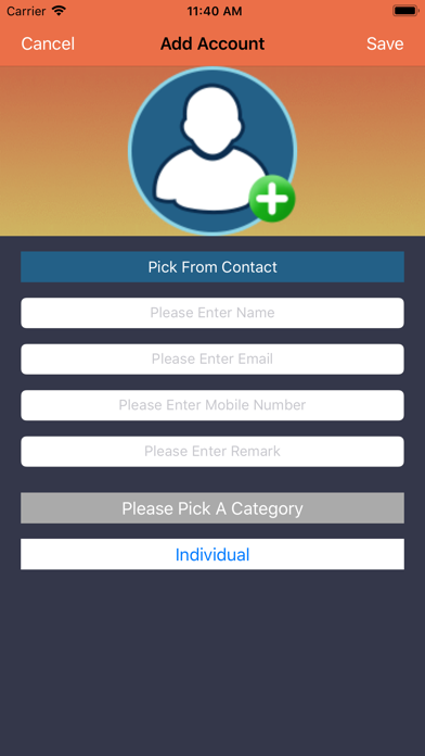 Simple Accounting Online Screenshots