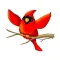 South Walker Cardinals