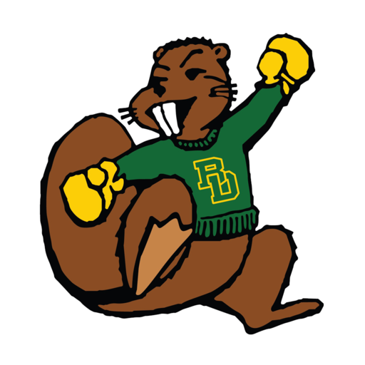 Beaver Dam Beaver Dam