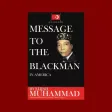 The Guide - NOI Study