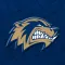 Bentonville West Wolverines