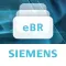 eBatch Reviewer