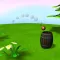 3D Toon Toss