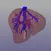 Liver Surgery AP-HP