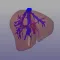 Liver Surgery AP-HP
